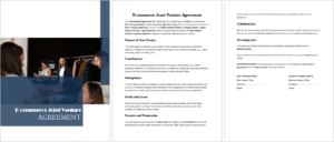 E-commerce Joint Venture Agreement