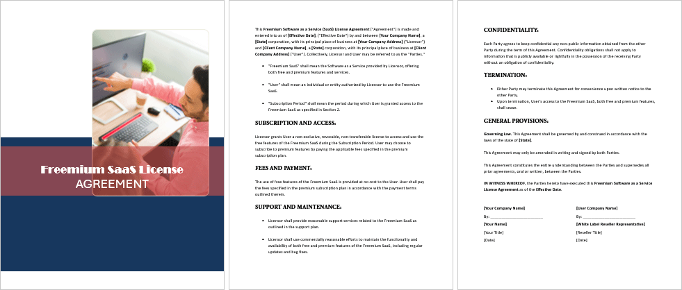 Freemium-SaaS-License-Agreement-Image