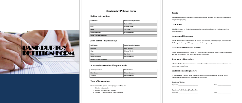 Bankruptcy-Petition-Form-Image