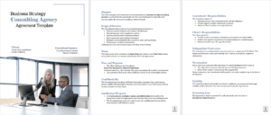 Business Strategy Consulting Agency Agreement — Frame Your Success